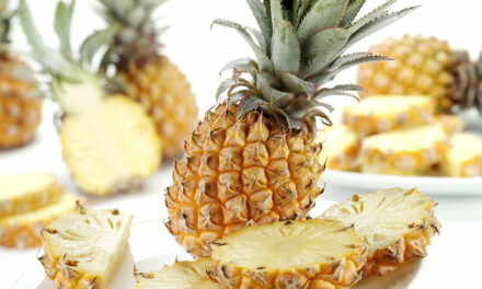 Ananas dijeta