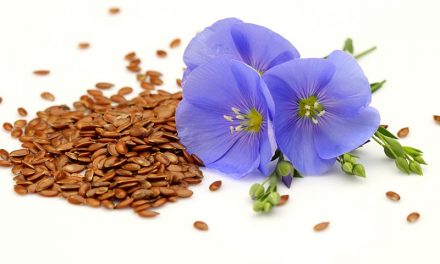 Laneno seme – za dobro zdravlje i vitkost