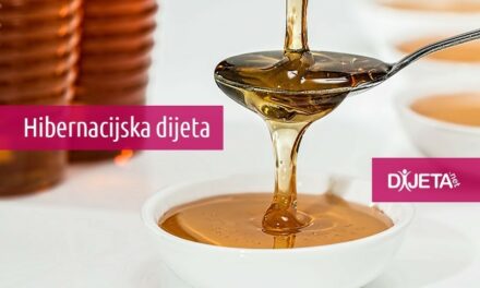 Hibernacijska dijeta