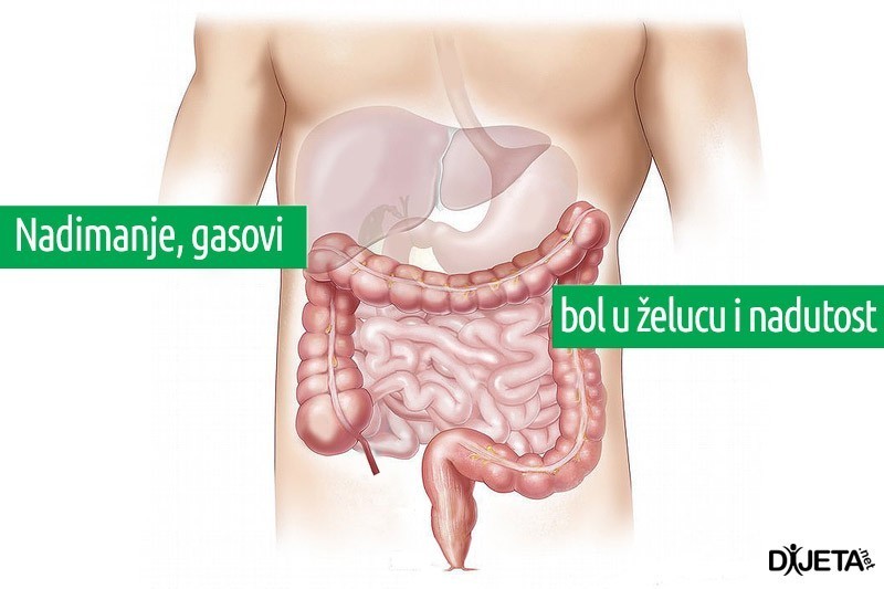 7 saveta za zdravo varenje