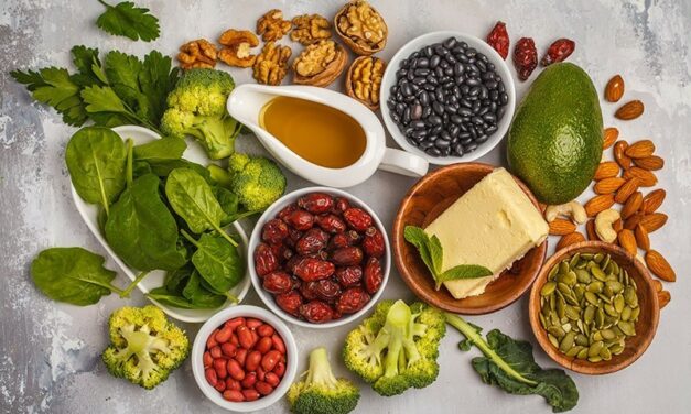 Vegetarijanska Keto Dijeta